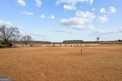 Tbd Trudie Road, Blackshear, GA 31516 - Photo 28