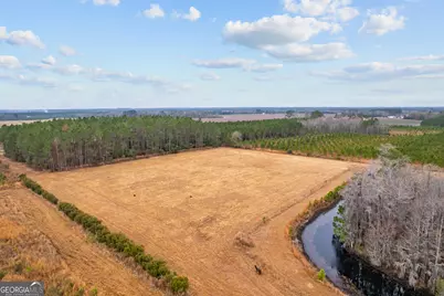 Tbd Trudie Road, Blackshear, GA 31516 - Photo 14