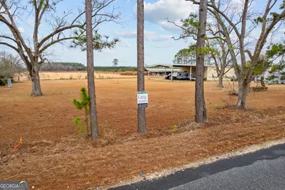 Tbd Trudie Road, Blackshear, GA 31516 - Photo 26