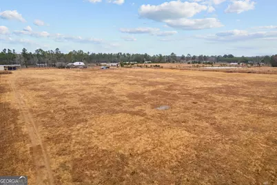 Tbd Trudie Road, Blackshear, GA 31516 - Photo 18