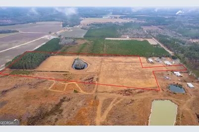 Tbd Trudie Road, Blackshear, GA 31516 - Photo 12