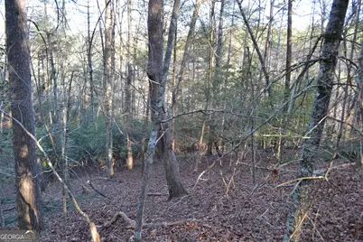 0 Mill Creek Trail, Cleveland, GA 30528 - Photo 6