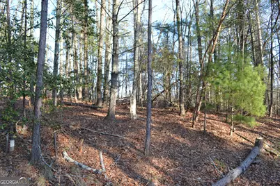 0 Mill Creek Trail, Cleveland, GA 30528 - Photo 12