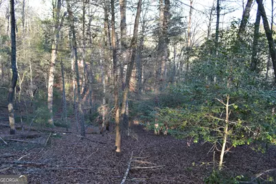 0 Mill Creek Trail, Cleveland, GA 30528 - Photo 8