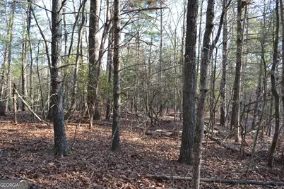 0 Mill Creek Trail, Cleveland, GA 30528 - Photo 10