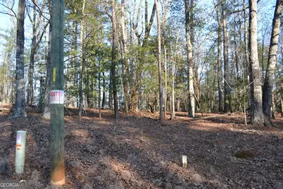 0 Mill Creek Trail, Cleveland, GA 30528 - Photo 14
