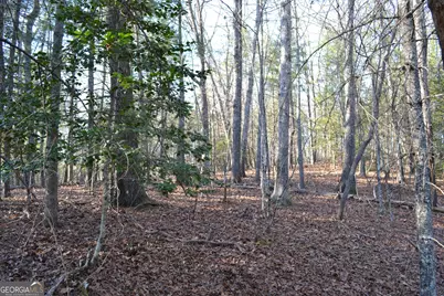 0 Mill Creek Trail, Cleveland, GA 30528 - Photo 4