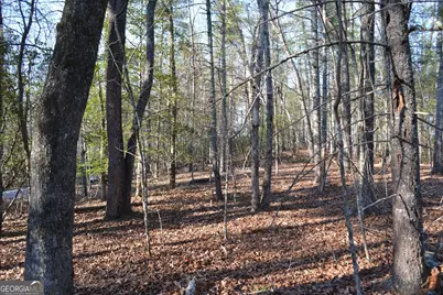 0 Mill Creek Trail, Cleveland, GA 30528 - Photo 2