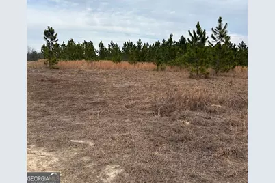 0 Oakridge Church Road, Tifton, GA 31794 - Photo 2