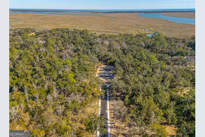 138 Canopy Lane, Saint Simons, GA 31522 - Photo 20