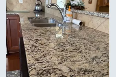 107 Plumleaf Court, Griffin, GA 30223 - Photo 6