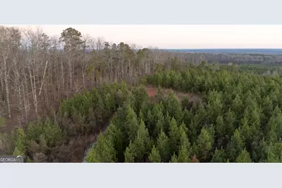 723 Brown Creek Road, Shiloh, GA 31826 - Photo 14