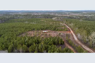 723 Brown Creek Road, Shiloh, GA 31826 - Photo 2