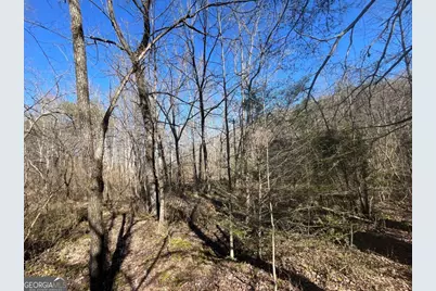 513 Trackrock Gap Road, Blairsville, GA 30512 - Photo 10