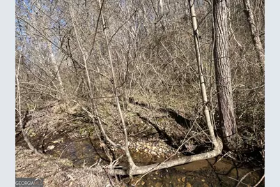 513 Trackrock Gap Road, Blairsville, GA 30512 - Photo 12