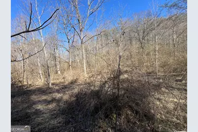 513 Trackrock Gap Road, Blairsville, GA 30512 - Photo 14