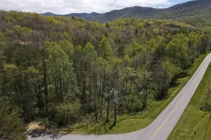 513 Trackrock Gap Rd, Blairsville, GA 30512 - Photo 1