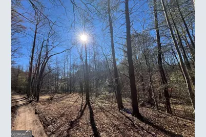 513 Trackrock Gap Road, Blairsville, GA 30512 - Photo 22