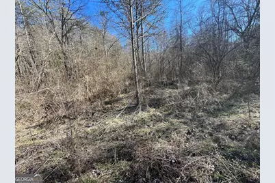 513 Trackrock Gap Road, Blairsville, GA 30512 - Photo 18