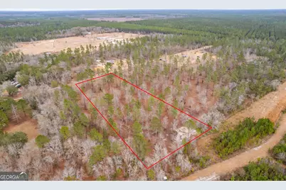 Tract 1 Loggan Lane, Jesup, GA 31546 - Photo 6