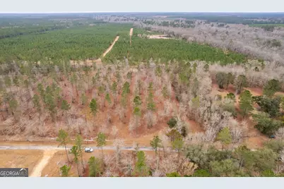 Tract 1 Loggan Lane, Jesup, GA 31546 - Photo 2