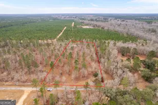 Tract 1 Loggan Ln, Jesup, GA 31546 - Photo 1