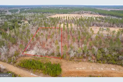 Tract 1 Loggan Lane, Jesup, GA 31546 - Photo 8
