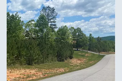 Lt 55 Village Loop, Blairsville, GA 30512 - Photo 8