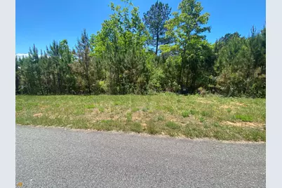 Lt 55 Village Loop, Blairsville, GA 30512 - Photo 4