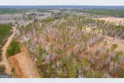Tract 2 Loggan Lane, Jesup, GA 31546 - Photo 8