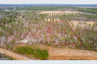 Tract 2 Loggan Lane, Jesup, GA 31546 - Photo 6