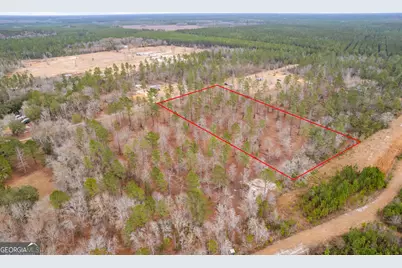 Tract 2 Loggan Lane, Jesup, GA 31546 - Photo 4
