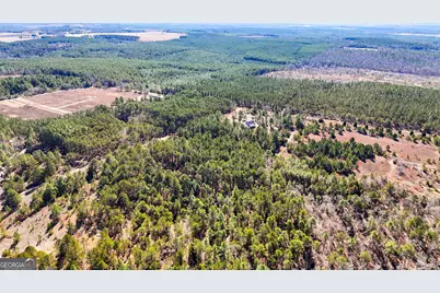 115 Watermelon Lane, Mauk, GA 31058 - Photo 48