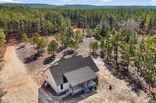 115 Watermelon Ln, Mauk, GA 31058 - Photo 42