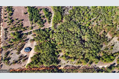 115 Watermelon Lane, Mauk, GA 31058 - Photo 50