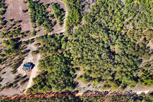 115 Watermelon Ln, Mauk, GA 31058 - Photo 50