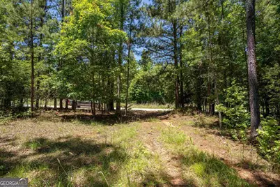 Lot 36 Marshall Road, Buckhead, GA 30625 - Photo 6