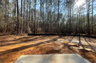 287 Rocker Rd, Greenville, GA 30222 - Photo 8