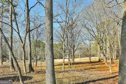 7 Briarpatch Lane, Newnan, GA 30265 - Photo 60