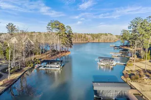 1041 Holt's Ferry, Greensboro, GA 30642 - Photo 48