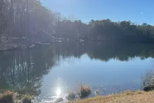 260 Ancient Oaks Ln, Newnan, GA 30263 - Photo 62