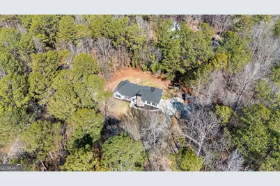 260 Ancient Oaks Lane, Newnan, GA 30263 - Photo 4