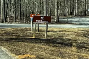 260 Ancient Oaks Ln, Newnan, GA 30263 - Photo 68