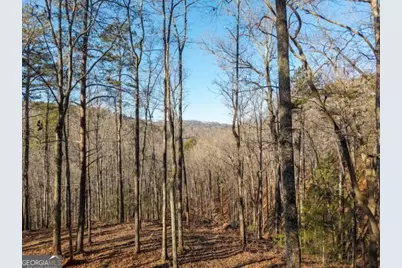 1665 Hunter Drive #42, Talking Rock, GA 30175 - Photo 4