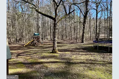 25 Heron Point, Newnan, GA 30263 - Photo 32