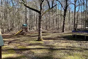 25 Heron Point, Newnan, GA 30263 - Photo 32