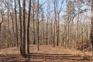 1884 Finale St, Talking Rock, GA 30175 - Photo 1