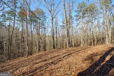 1884 Finale Street, Talking Rock, GA 30175 - Photo 8