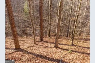 1884 Finale Street, Talking Rock, GA 30175 - Photo 6