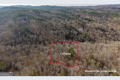1884 Finale Street, Talking Rock, GA 30175 - Photo 2